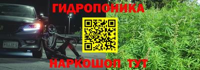 сатива Рузаевка