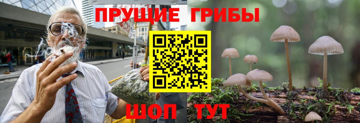 Отрадное  Галлюциногенные грибы Cubensis  Вход с VPN 